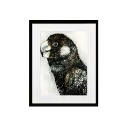 Desert Parrot II Limited Edition Framed Print By Alissa Wright -Home Decoration Store shopify e2b79f30dd2b32c95d7ffcce8d229bca desert parrot ii limited edition framed print by alissa wright