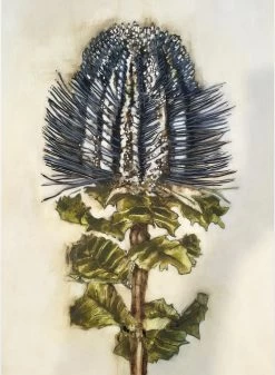 Indigo Native II Limited Edition Print By Alissa Wright
