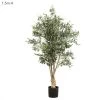 Rethimno Olive Tree 1.5m