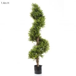 Boxwood Spiral Tree 1.4m