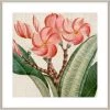 Cropped Turpin Tropicals VII Framed Print