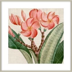 Cropped Turpin Tropicals VII Framed Print