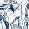 Botanical Blue II Limited Edition Print By Alissa Wright
