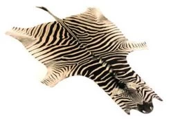 Zebra Skin AA Grade